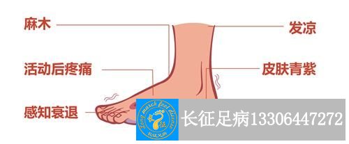 1525935432101149.jpg
